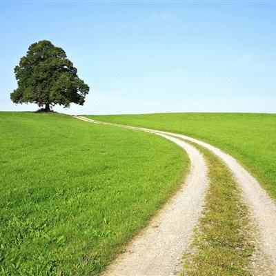 ManBetx万博全站APP最新版