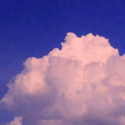 大发彩票app手机app下载