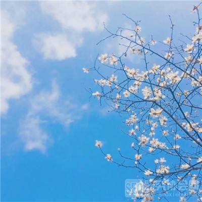 澳门·威斯尼斯wns888入口手机app下载