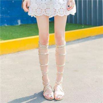 天博体育官网下载入口截图